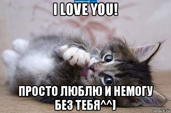 i love you! просто люблю и немогу без тебя^^], Мем  котенок