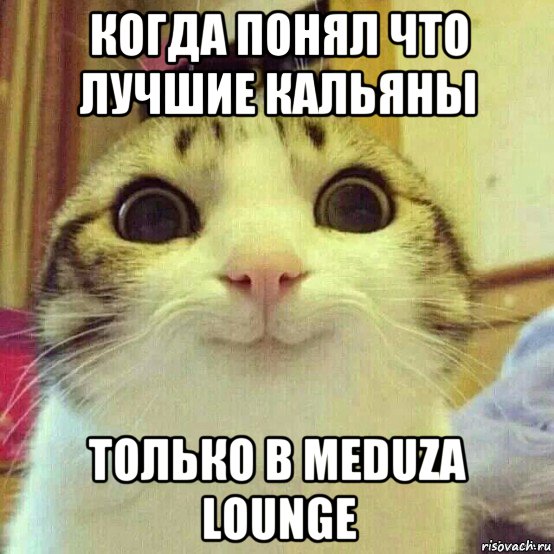 когда понял что лучшие кальяны только в meduza lounge, Мем       Котяка-улыбака