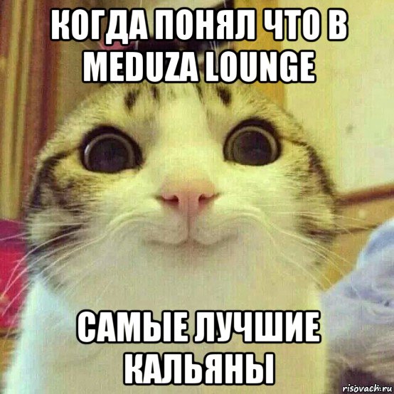 когда понял что в meduza lounge самые лучшие кальяны, Мем       Котяка-улыбака