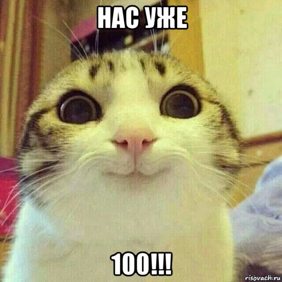 нас уже 100!!!, Мем       Котяка-улыбака