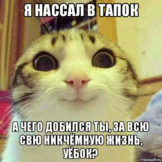 я нассал в тапок а чего добился ты, за всю свю никчёмную жизнь, уёбок?, Мем       Котяка-улыбака