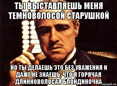 ты выставляешь меня темноволосой старушкой но ты делаешь это без уважения и даже не знаешь, что я горячая длинноволосая блондиночка, Мем крестный отец