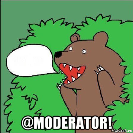  @moderator!, Мем Медведь-шлюха