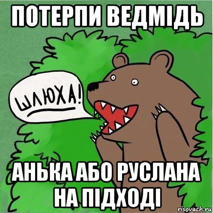 потерпи ведмідь анька або руслана на підході, Мем Медведь в кустах