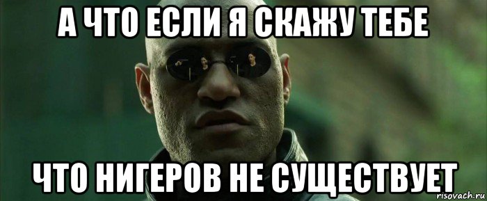 а что если я скажу тебе что нигеров не существует