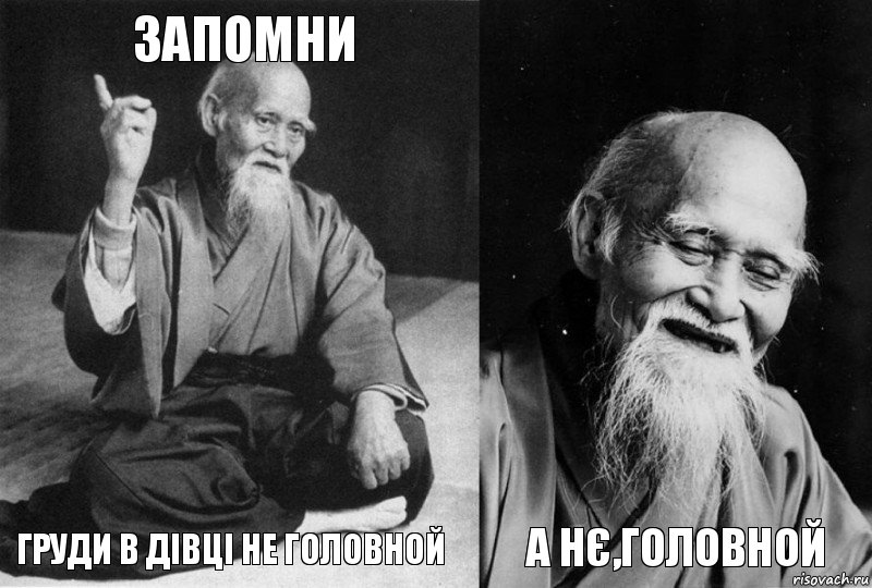 запомни Груди в дівці не головной  а нє,головной, Комикс Мудрец-монах (4 зоны)