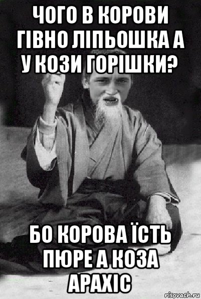 чого в корови гівно ліпьошка а у кози горішки? бо корова їсть пюре а коза арахіс, Мем Мудрий паца