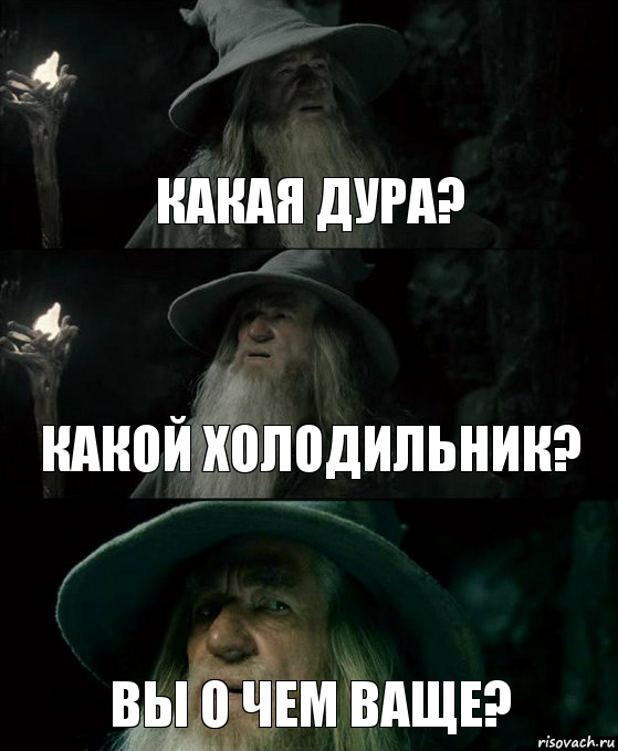 Какая дура? Какой холодильник? Вы о чем ваще?, Комикс Гендальф заблудился