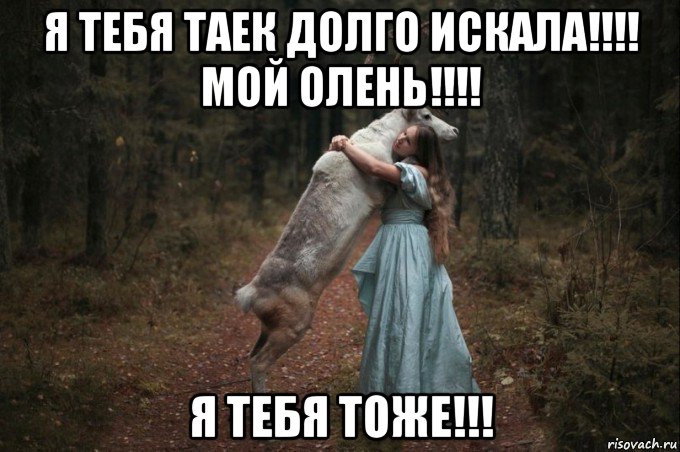 я тебя таек долго искала!!!! мой олень!!!! я тебя тоже!!!, Мем Наивный Олень шаблон 5