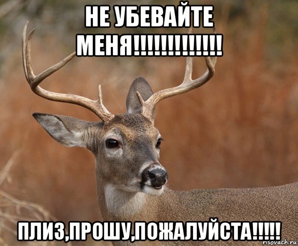 не убевайте меня!!!!!!!!!!!!! плиз,прошу,пожалуйста!!!!!, Мем  Наивный Олень v2