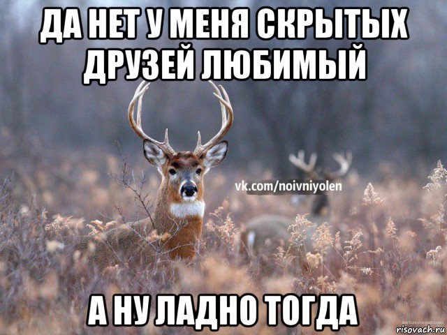 да нет у меня скрытых друзей любимый а ну ладно тогда, Мем Наивный Олень vk