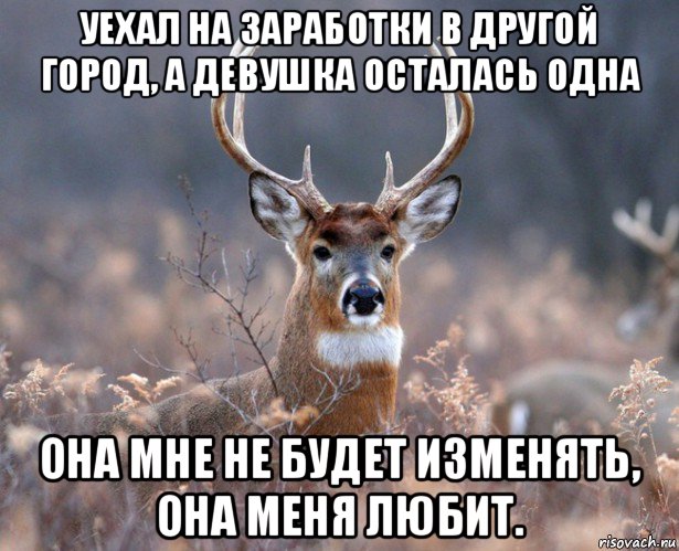 уехал на заработки в другой город, а девушка осталась одна она мне не будет изменять, она меня любит., Мем   Наивный олень