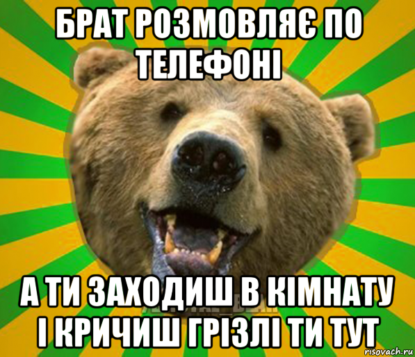 брат розмовляє по телефоні а ти заходиш в кімнату і кричиш грізлі ти тут, Мем Нелепый медведь