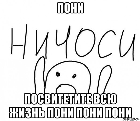 пони посвитетите всю жизнь пони пони пони, Мем  Ничоси