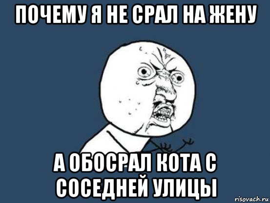 почему я не срал на жену а обосрал кота с соседней улицы, Мем Ну почему