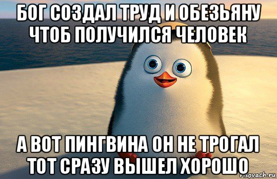 бог создал труд и обезьяну чтоб получился человек а вот пингвина он не трогал тот сразу вышел хорошо, Мем  Ня пингвин