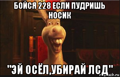 бойся 228 если пудришь носик "эй осёл,убирай лсд", Мем Осел из Шрека