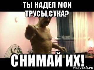 ты надел мои трусы,сука? снимай их!, Мем Паскуда тварь