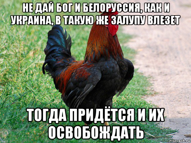 не дай бог и белоруссия, как и украина, в такую же залупу влезет тогда придётся и их освобождать