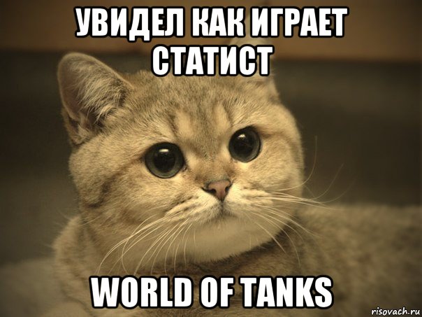 увидел как играет статист world of tanks, Мем Пидрила ебаная котик