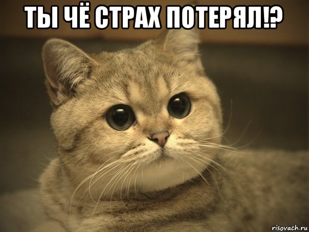 ты чё страх потерял!? 