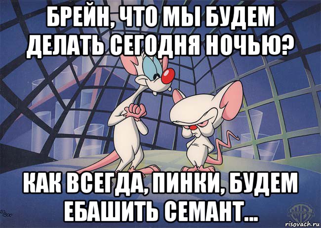 брейн, что мы будем делать сегодня ночью? как всегда, пинки, будем ебашить семант...