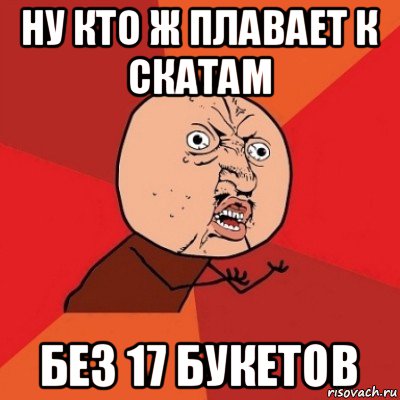 ну кто ж плавает к скатам без 17 букетов, Мем Почему