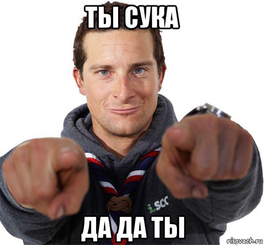 ты сука да да ты, Мем прикол