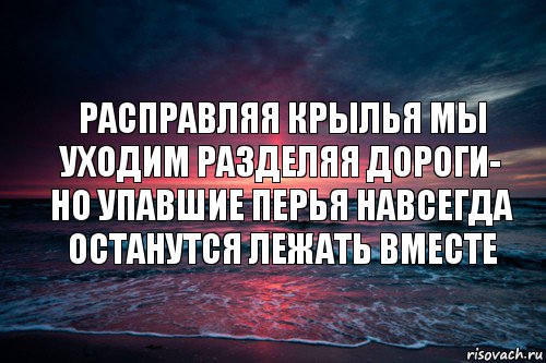 Расправляя крылья мы уходим разделяя дороги- но упавшие перья навсегда останутся лежать вместе, Комикс Природа