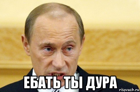  ебать ты дура, Мем путин