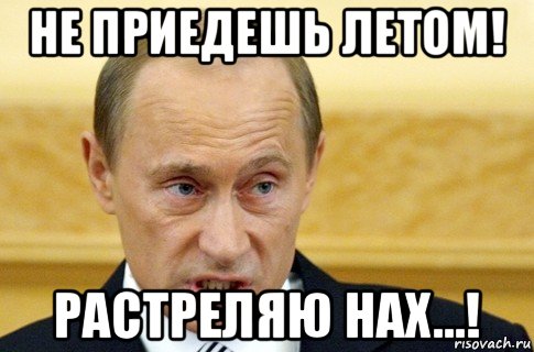 не приедешь летом! растреляю нах...!, Мем путин