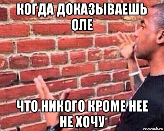 когда доказываешь оле что никого кроме нее не хочу, Мем разговор со стеной