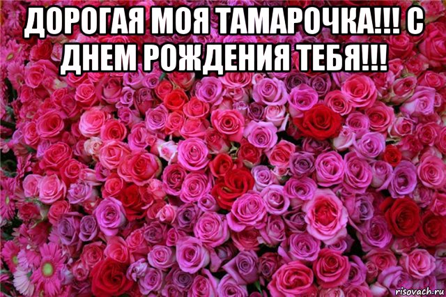 дорогая моя тамарочка!!! с днем рождения тебя!!! , Мем с днём Рождения Томочка