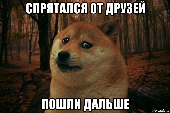 спрятался от друзей пошли дальше, Мем SAD DOGE