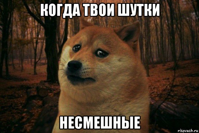 когда твои шутки несмешные, Мем SAD DOGE