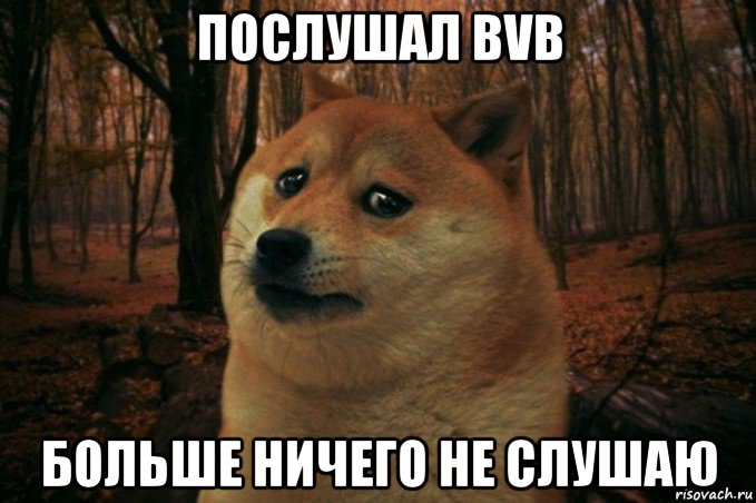 послушал bvb больше ничего не слушаю, Мем SAD DOGE