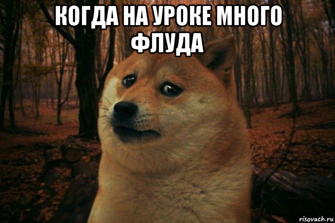 когда на уроке много флуда , Мем SAD DOGE