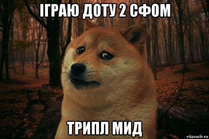 іграю доту 2 сфом трипл мид, Мем SAD DOGE