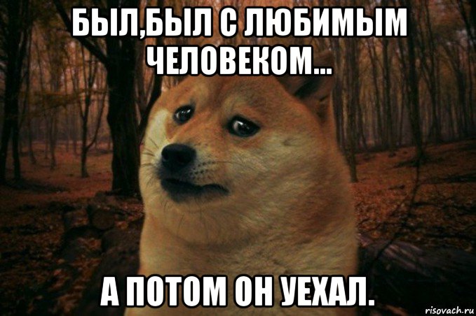 был,был с любимым человеком... а потом он уехал., Мем SAD DOGE