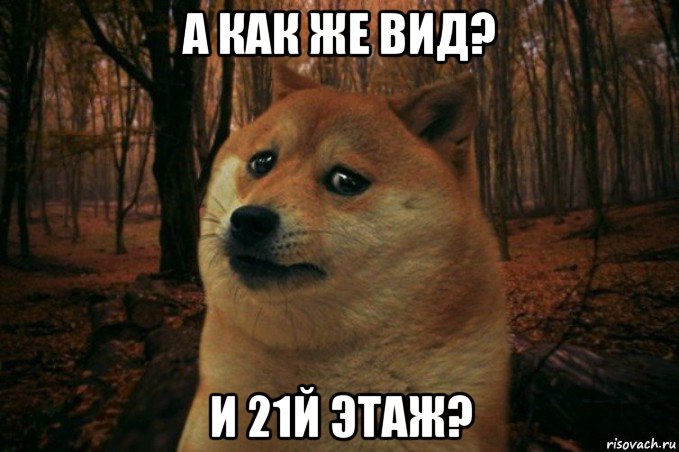 а как же вид? и 21й этаж?, Мем SAD DOGE