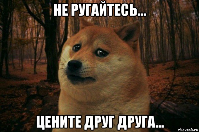 не ругайтесь... цените друг друга..., Мем SAD DOGE