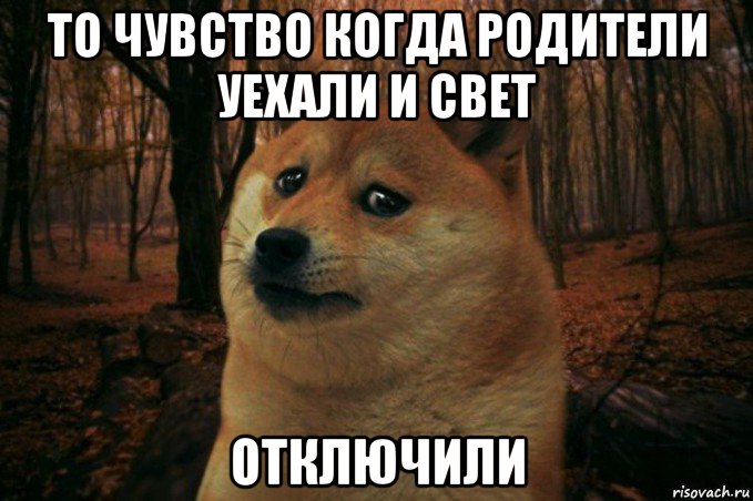 то чувство когда родители уехали и свет отключили, Мем SAD DOGE