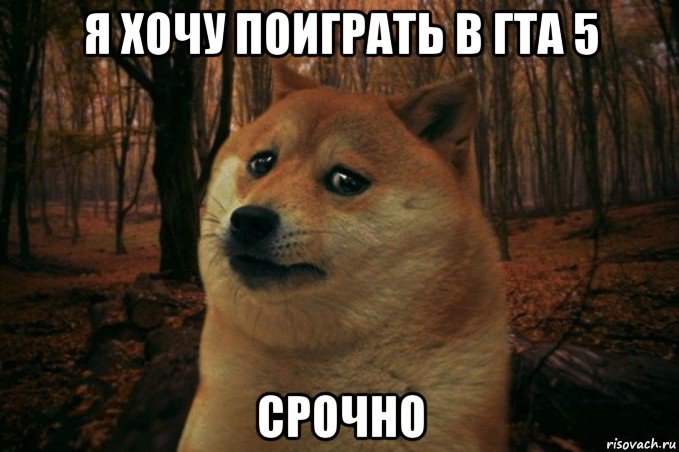 я хочу поиграть в гта 5 срочно, Мем SAD DOGE