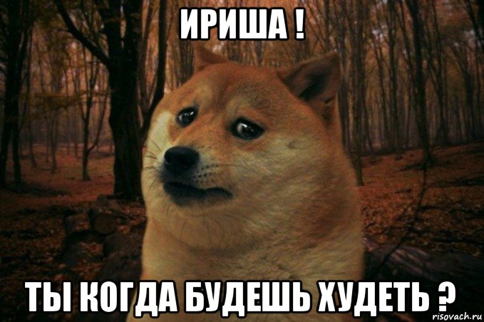 ириша ! ты когда будешь худеть ?, Мем SAD DOGE