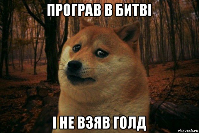 програв в битві і не взяв голд, Мем SAD DOGE