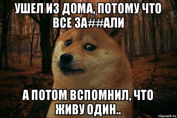 ушел из дома, потому что все за##али а потом вспомнил, что живу один.., Мем SAD DOGE