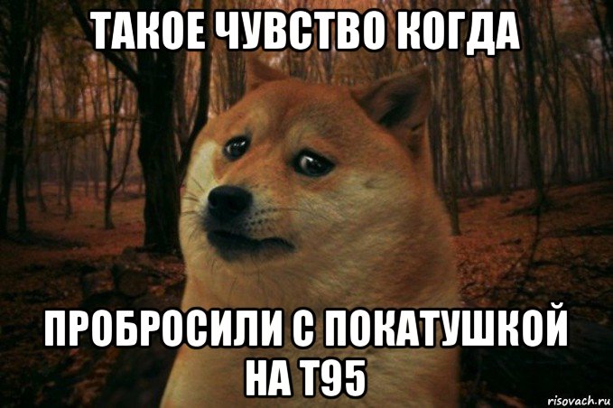 такое чувство когда пробросили с покатушкой на т95, Мем SAD DOGE