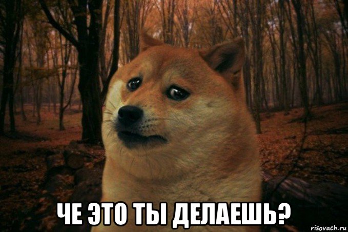  че это ты делаешь?, Мем SAD DOGE