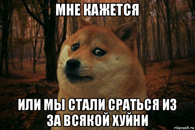 мне кажется или мы стали сраться из за всякой хуйни, Мем SAD DOGE