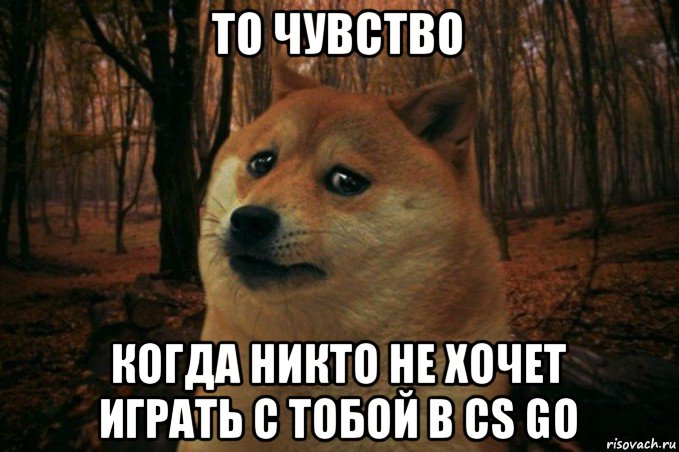 то чувство когда никто не хочет играть с тобой в cs go, Мем SAD DOGE